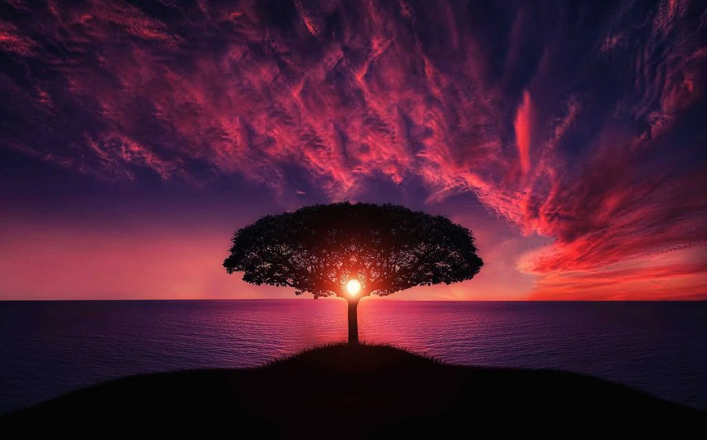 flight landscape nature sky